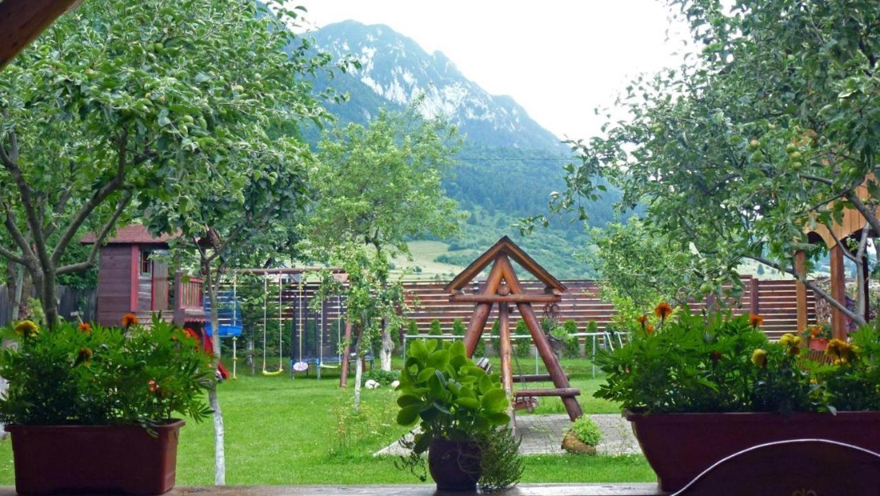 Sura Pietrei Craiului Hotel Zărneşti Exterior foto