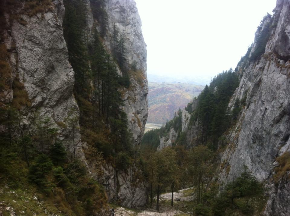 Sura Pietrei Craiului Hotel Zărneşti Exterior foto