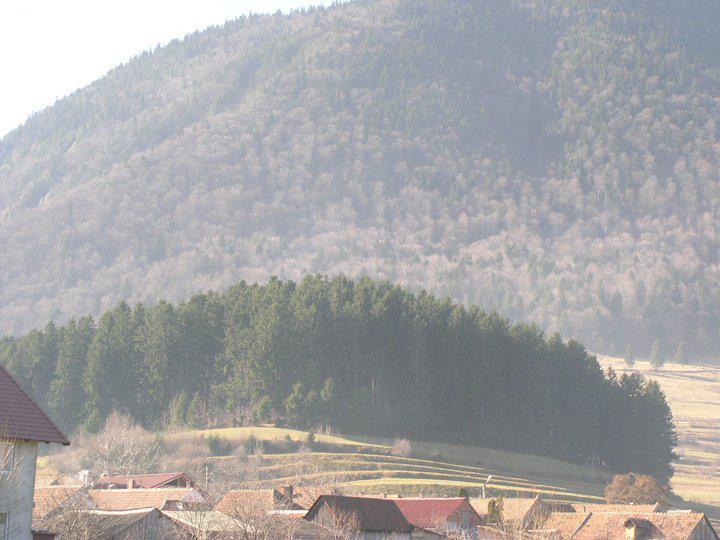 Sura Pietrei Craiului Hotel Zărneşti Exterior foto